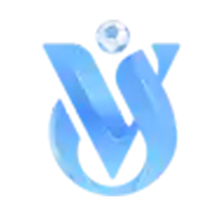 pj-vv.com