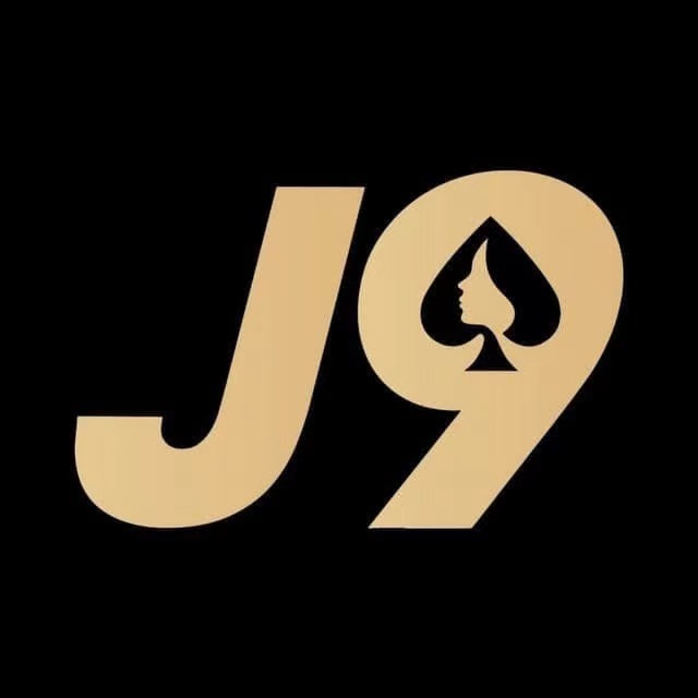pj-vv.com
